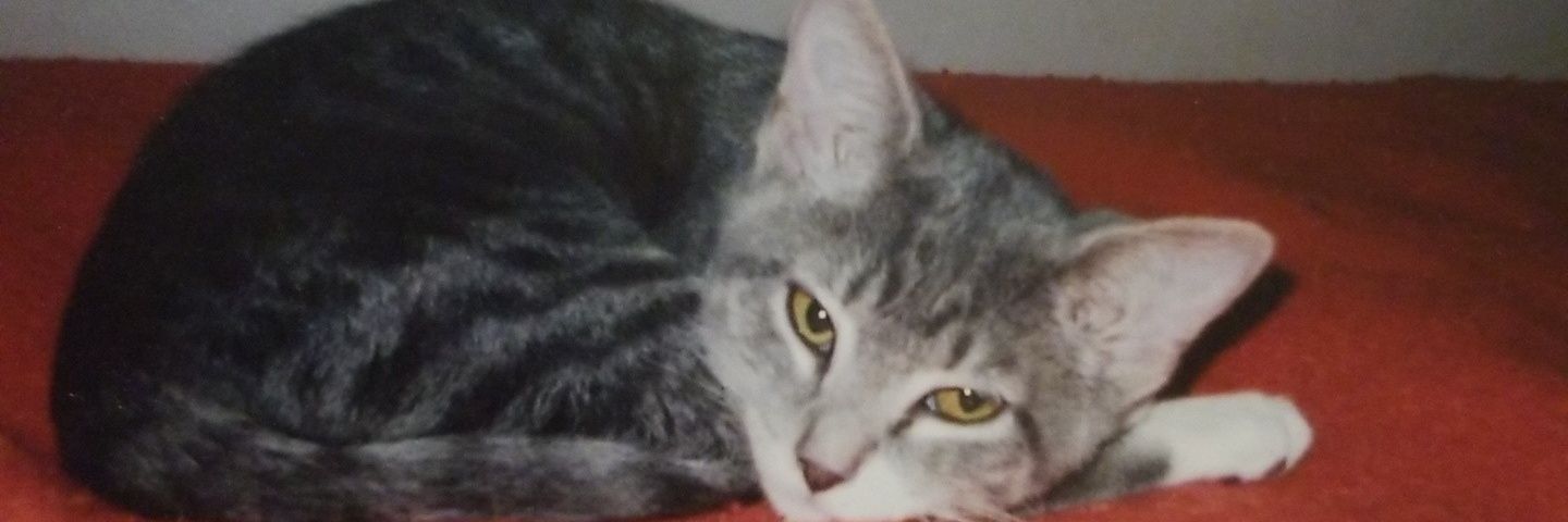 HeatherO__'s profile banner image