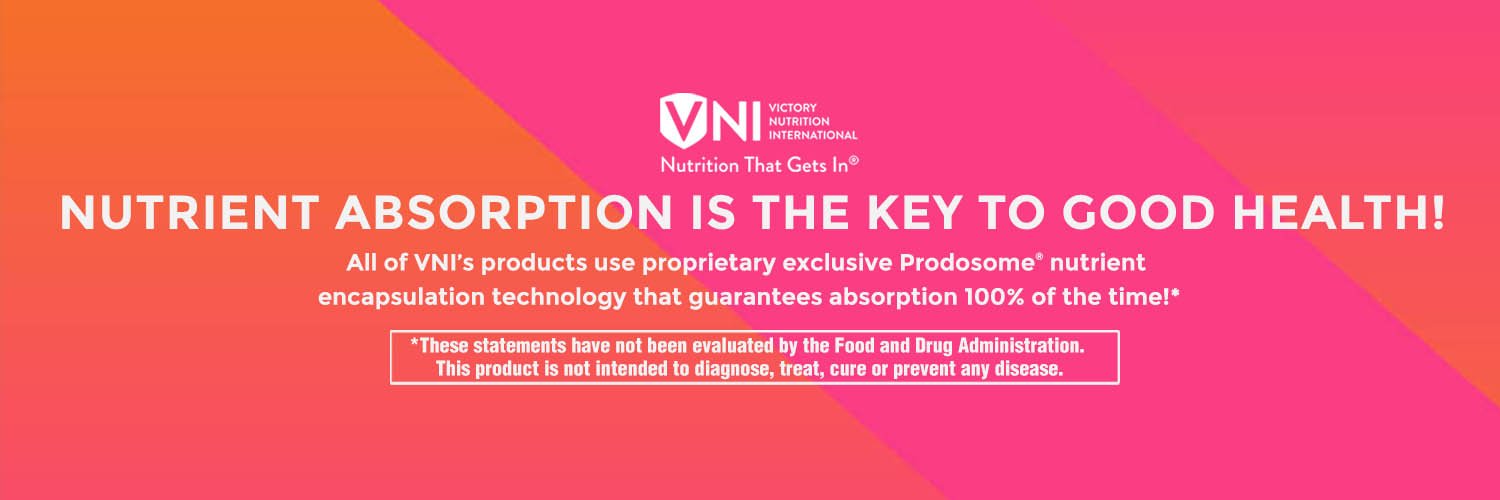 VNIPartners's profile banner image