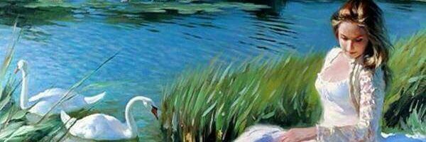 fgcubuk's profile banner image
