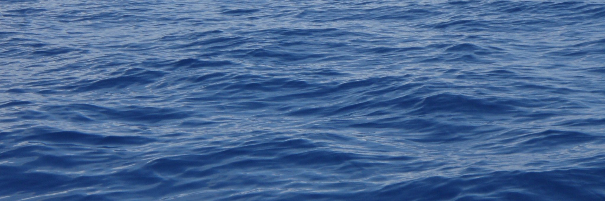 W banner