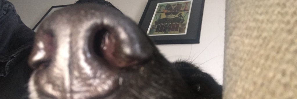 el_dby's profile banner image