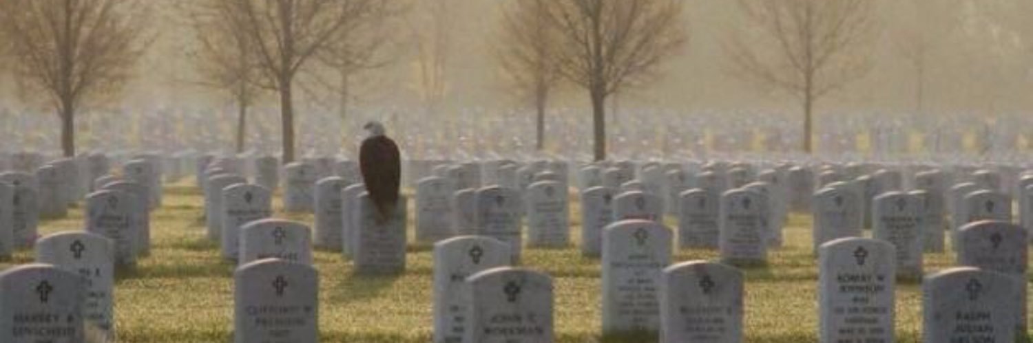 WildBill2225's profile banner image