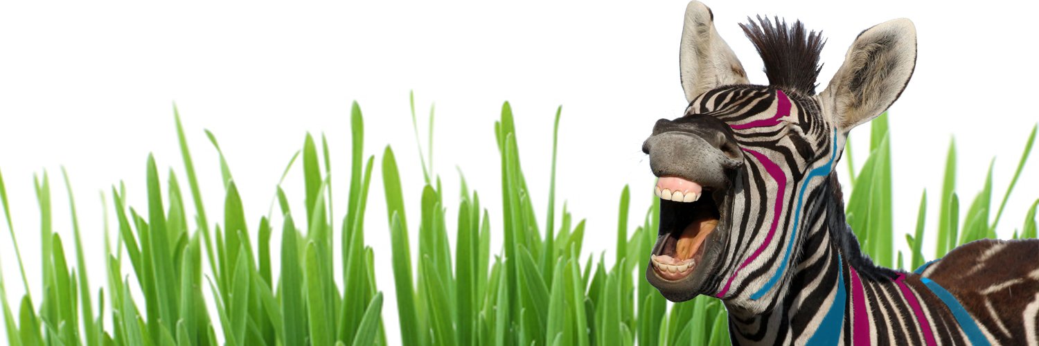 Zebra Colour Ltd. banner