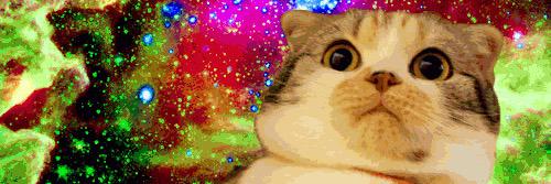 TheCommander110's profile banner image