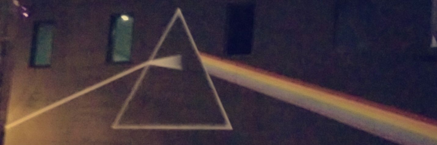Brdnlst95's profile banner image