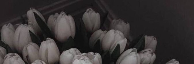 Al__Cyrus's profile banner image