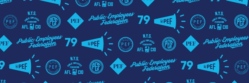 NYSPEF's profile banner image