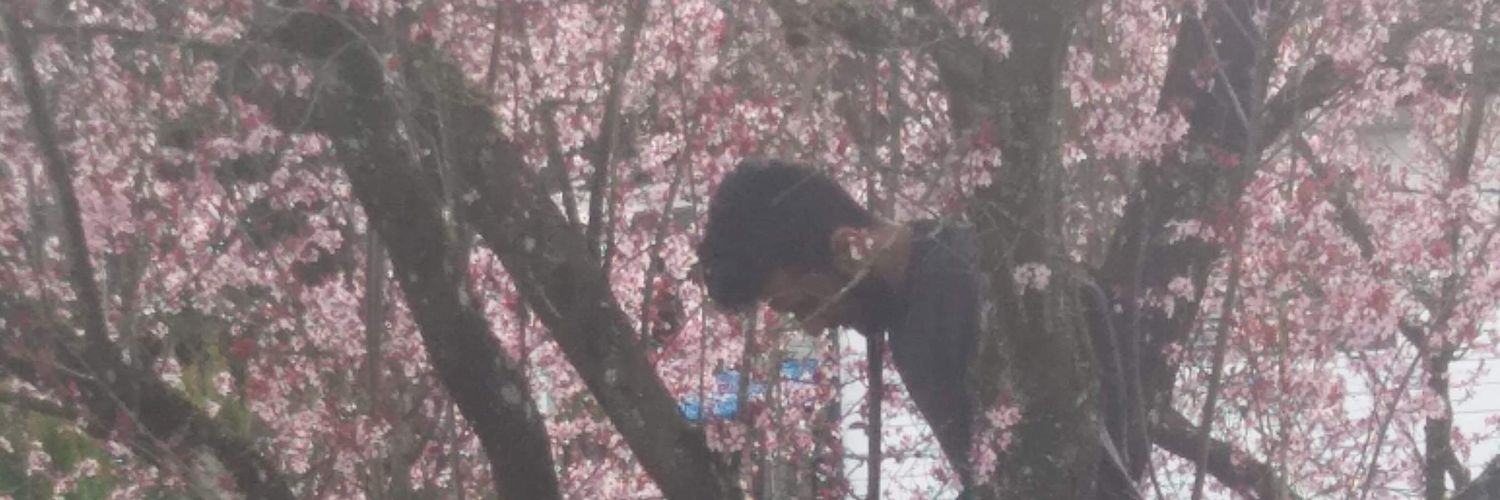 The_PrinceAli's profile banner image