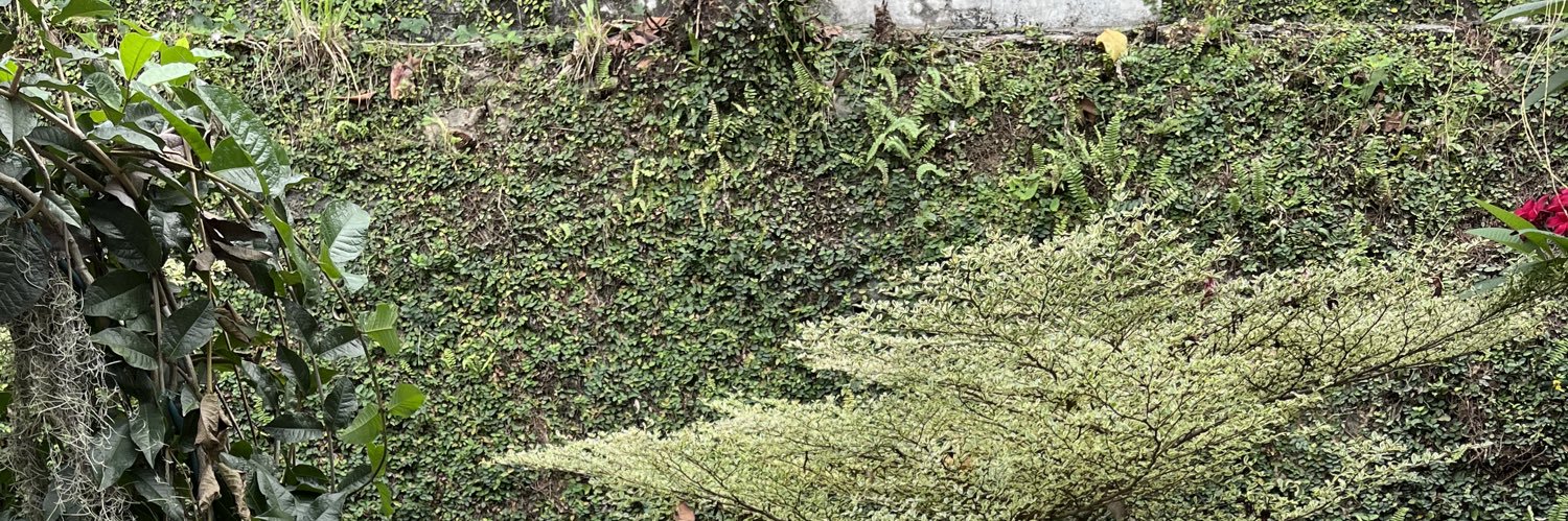 notzaqariaiman banner