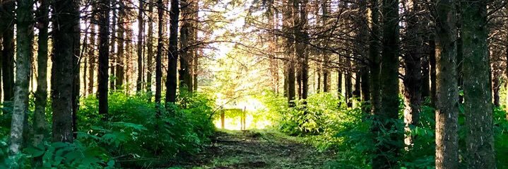 brett_pnw's profile banner image