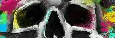 fnsuowsen's profile banner image