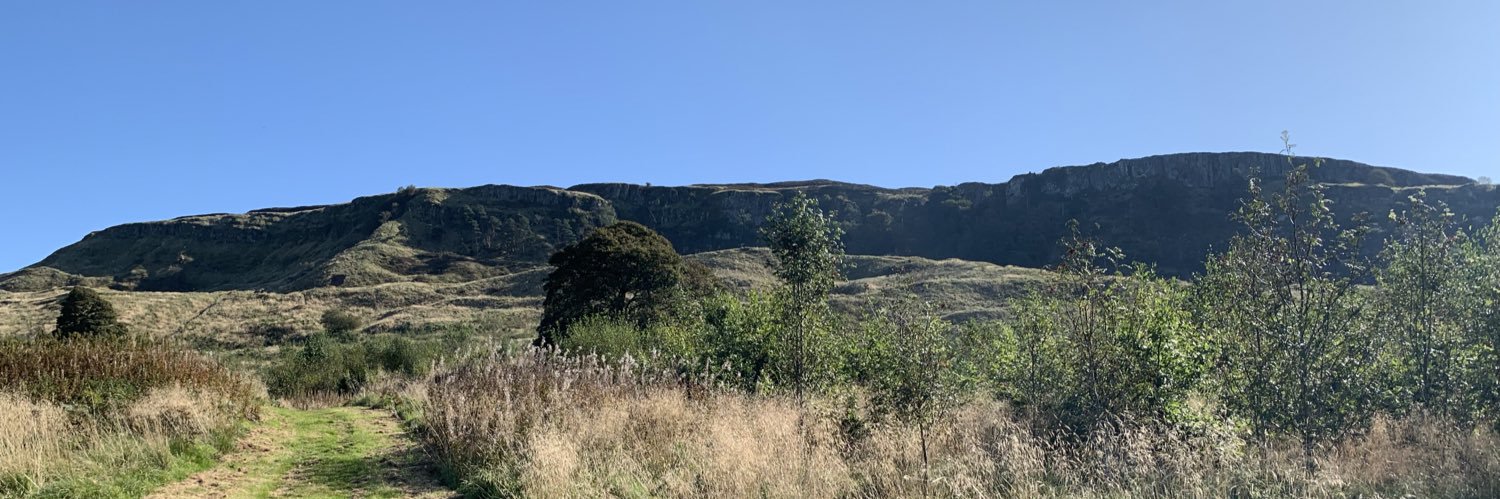 Marianne Docherty banner