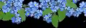 babulon5's profile banner image