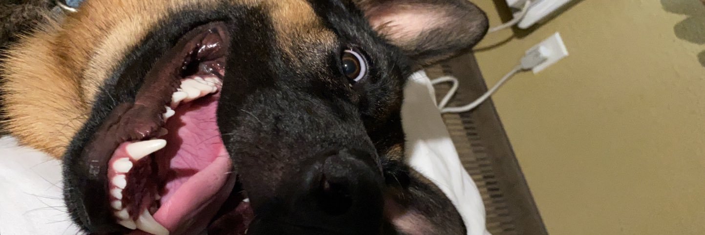 Jay_NoPeace's profile banner image