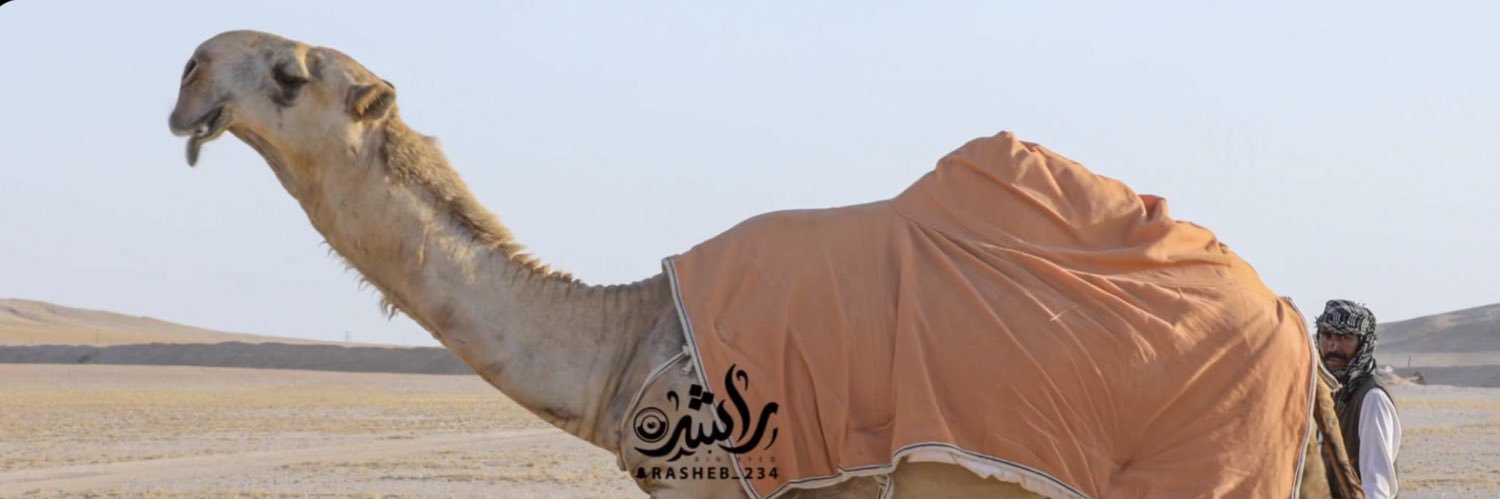 mhamd30800's profile banner image
