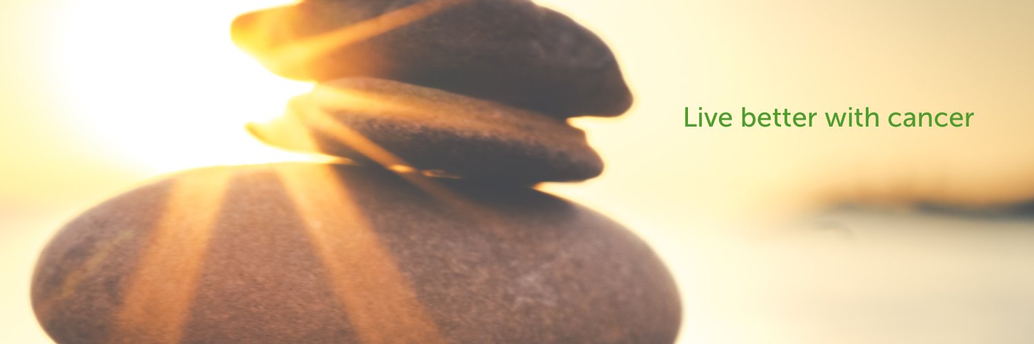 WellspringGTA banner