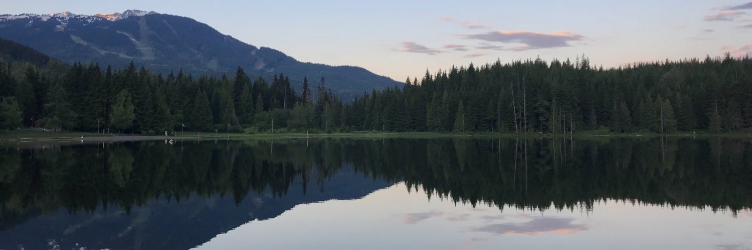 AmyMartin68's profile banner image