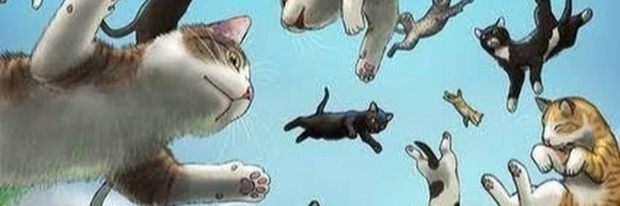 huybudesh's profile banner image