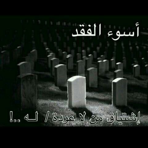 majjeed88's profile banner image