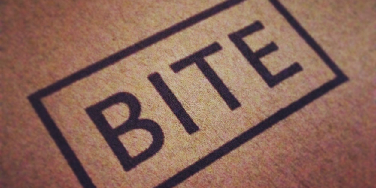 Bite Burger House banner