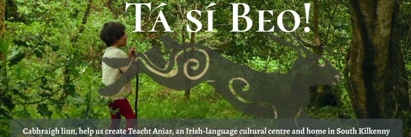 diarmuidlyng Profile Banner