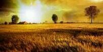 joller0708's profile banner image