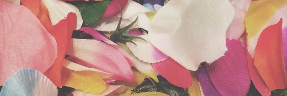 zeheb_ze's profile banner image