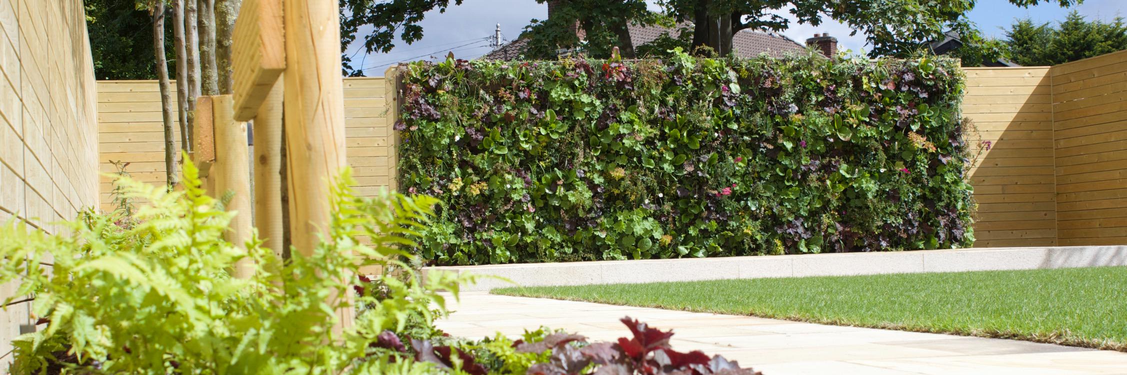 Amazonlandscape's profile banner image