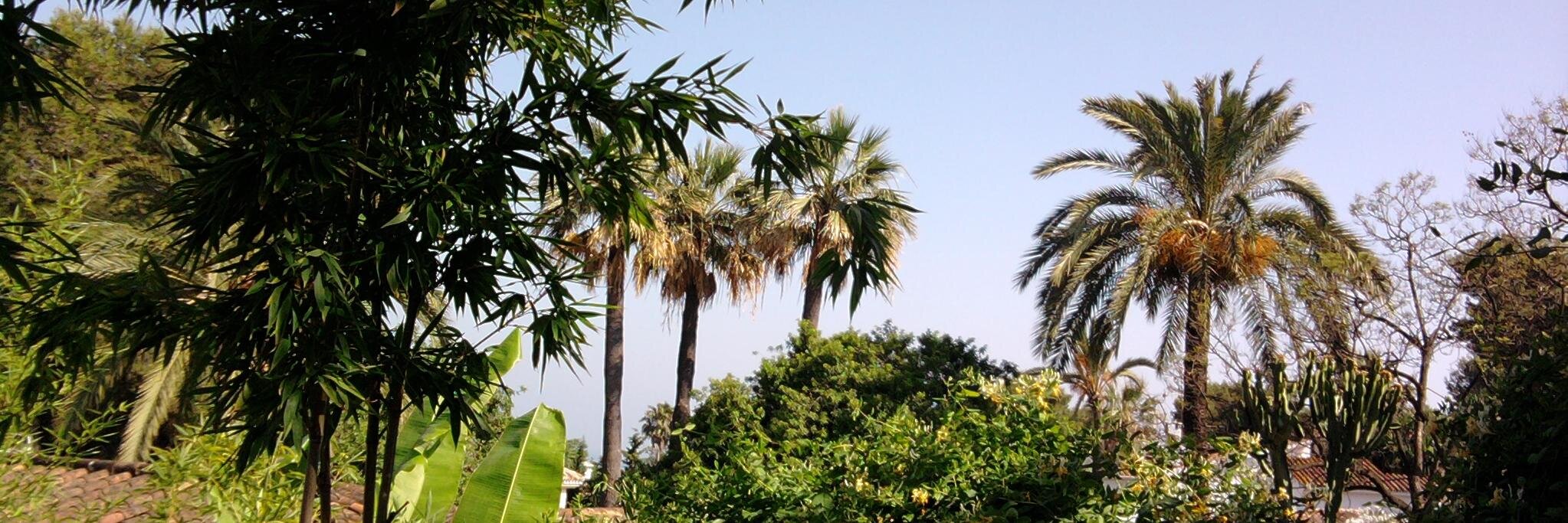 JuanLuquec's profile banner image