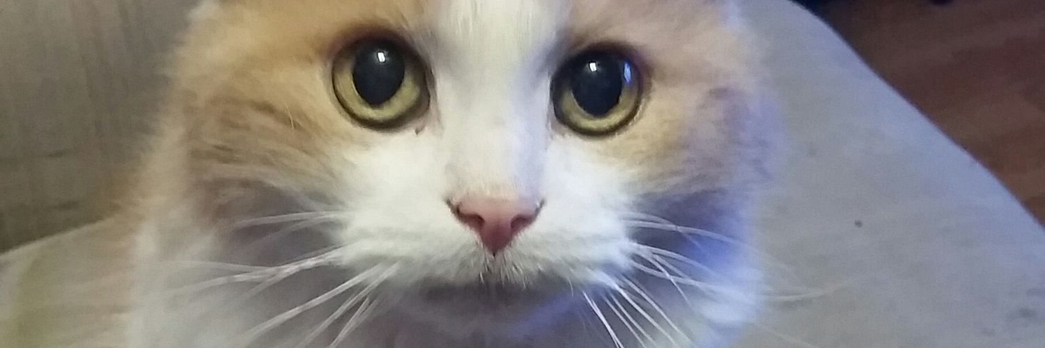 NSFWJonathan's profile banner image