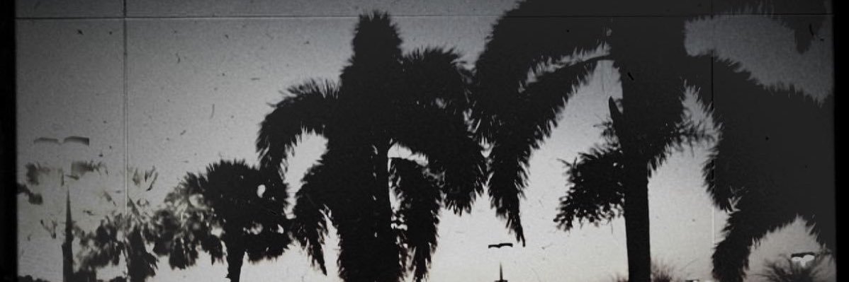 nonConfrmdRobot's profile banner image