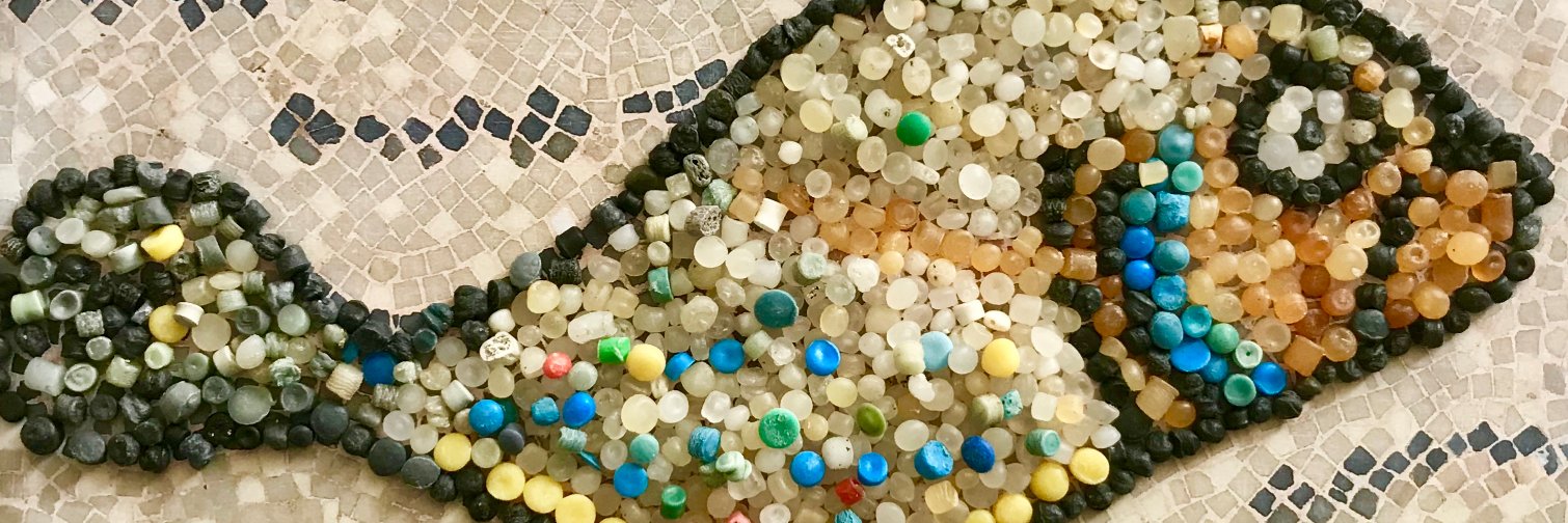 Newquay Beachcombing banner