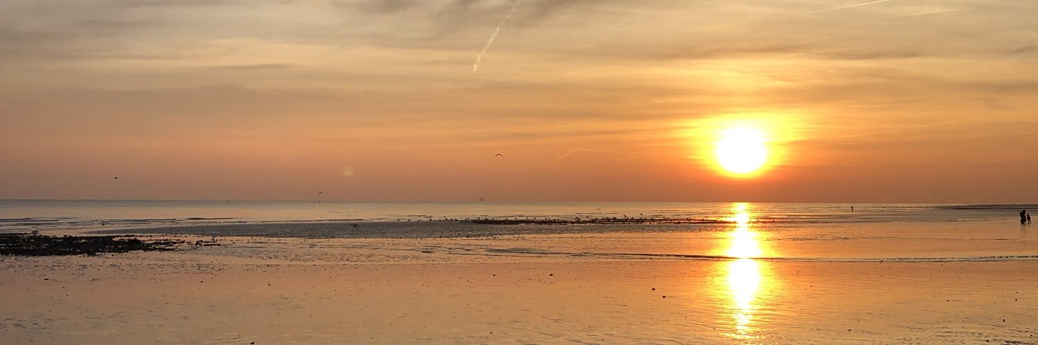 Deborah Fielding banner