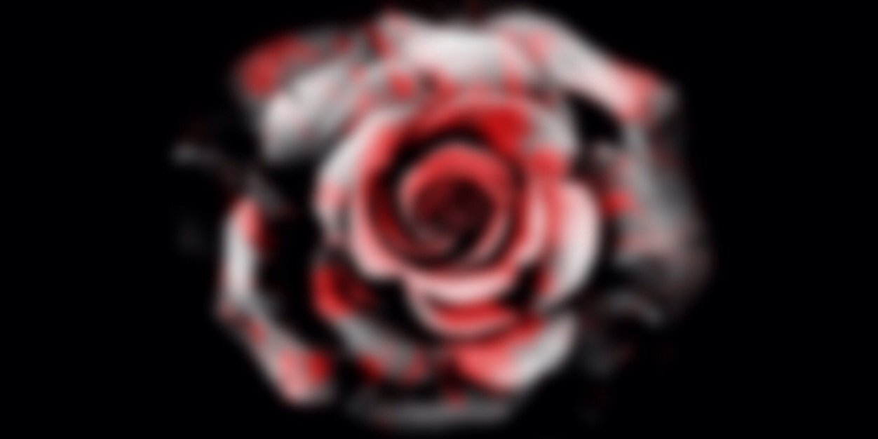 xX___RiA's profile banner image
