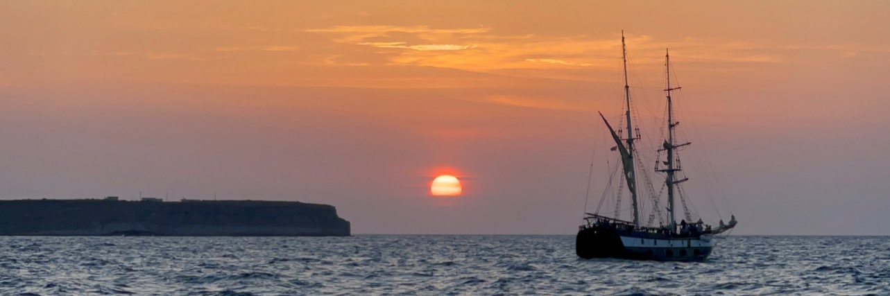 Tylerbackler's profile banner image