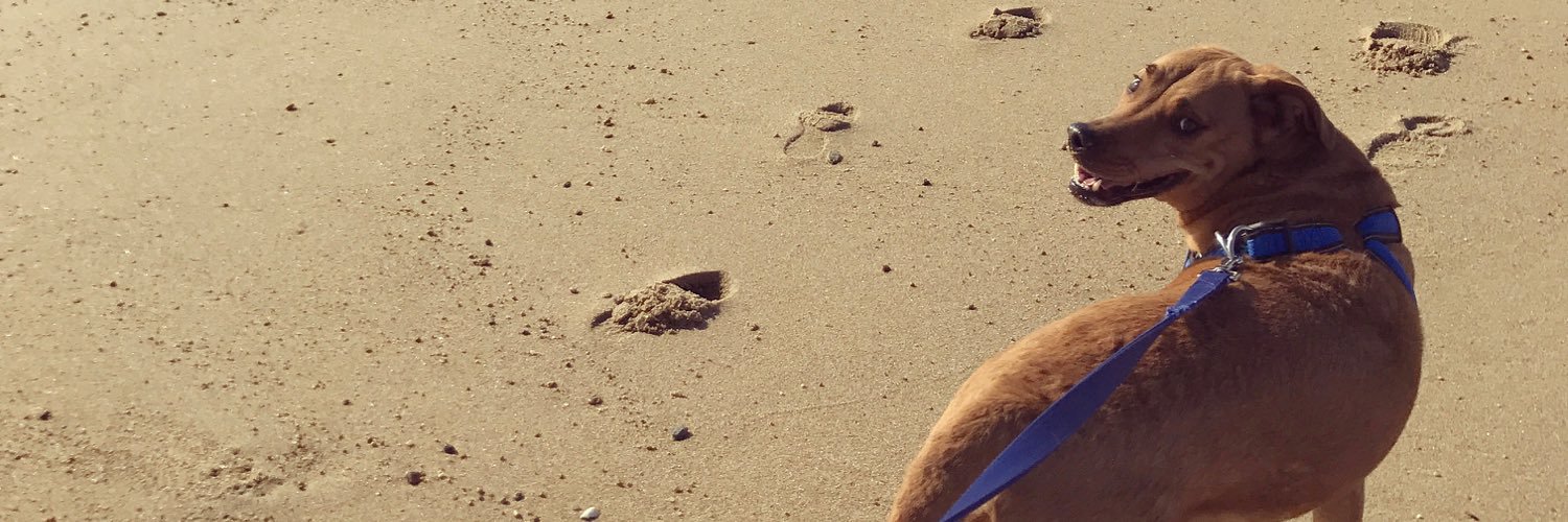 kbreezlaf's profile banner image