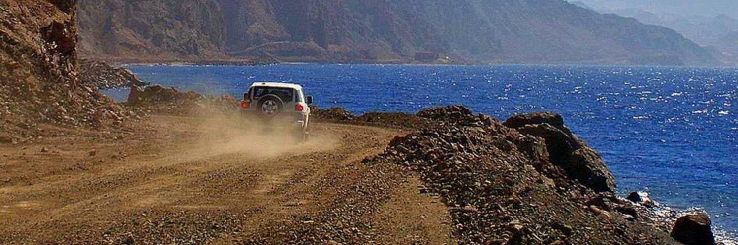 أبو محمد © banner