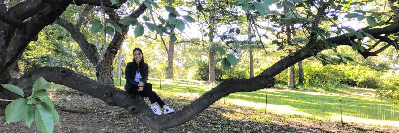 ale_g's profile banner image