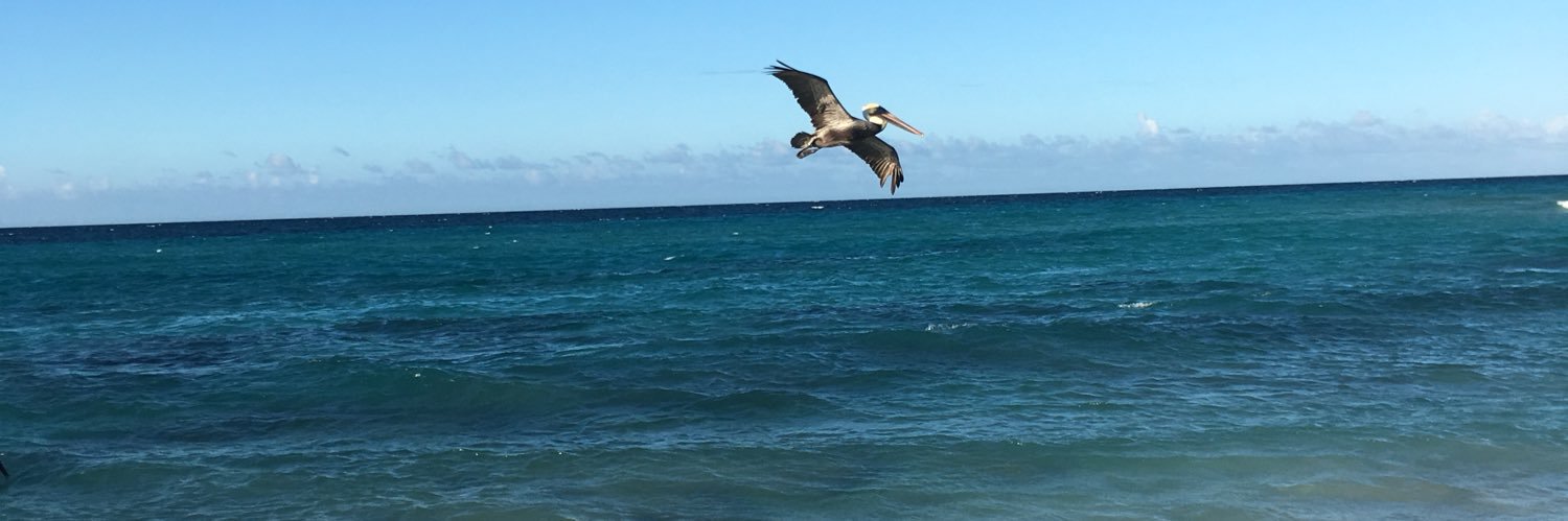 Jeff Lapointe banner