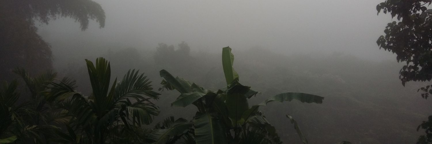 beingamby's profile banner image