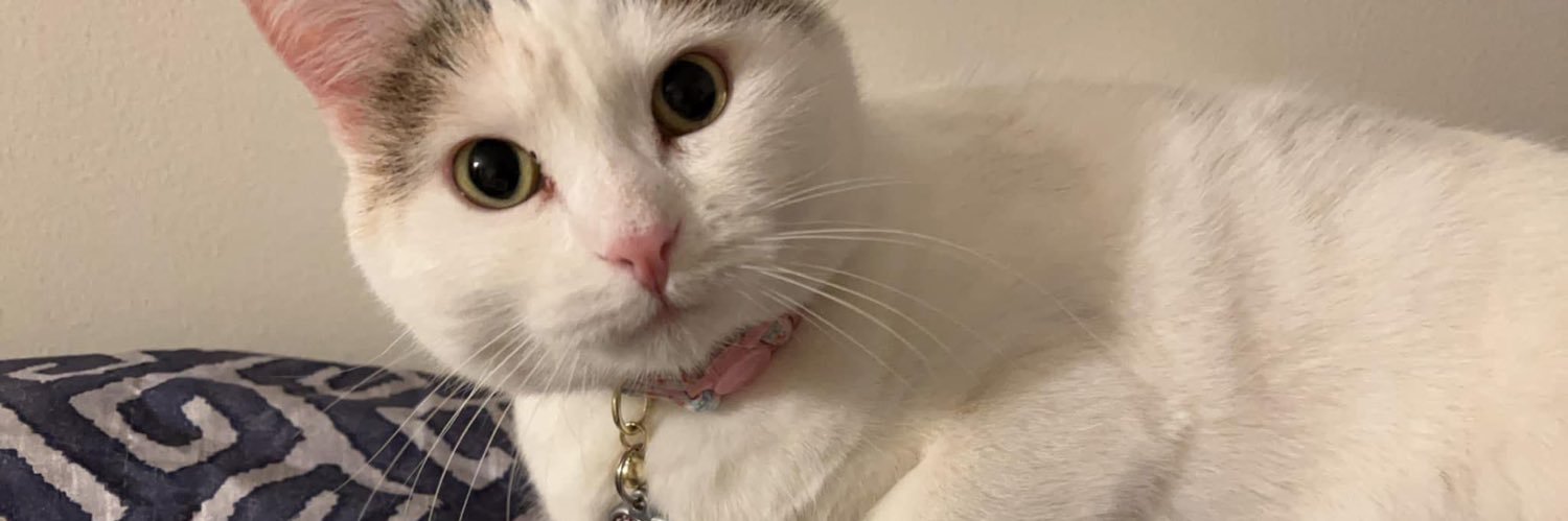 ThoseAshCheeks's profile banner image