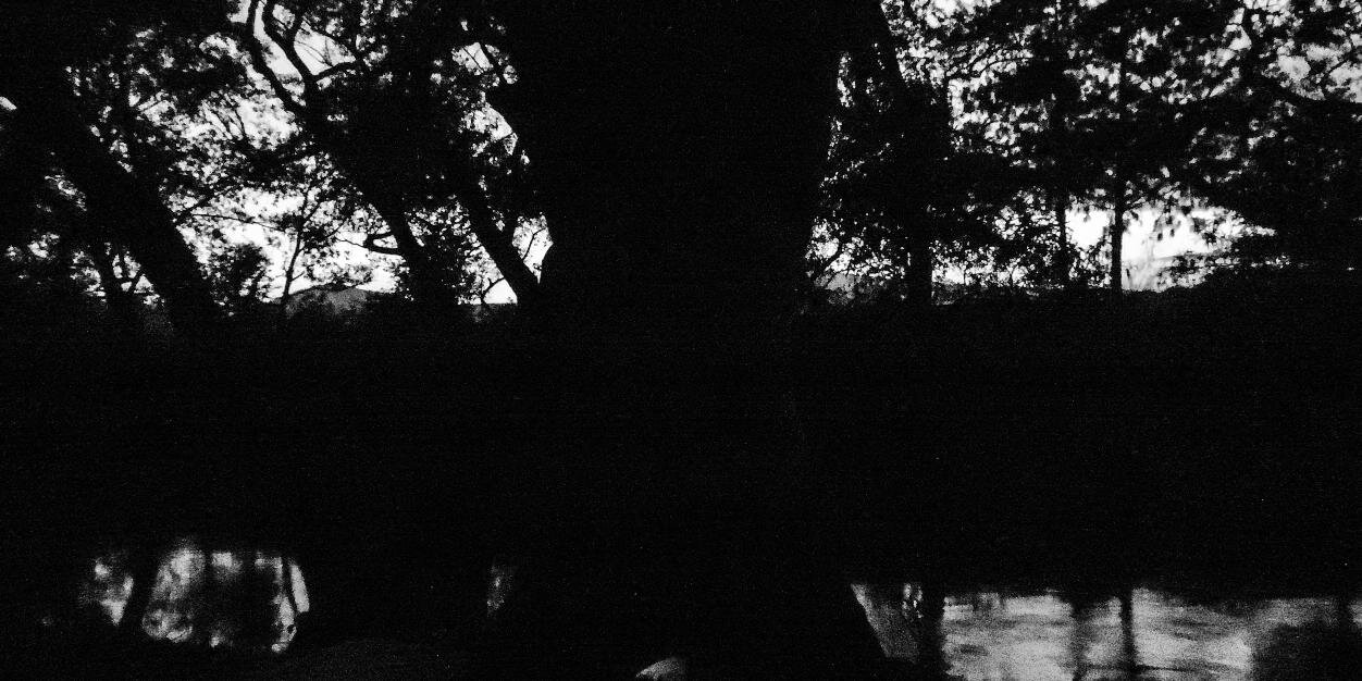 neto_buu's profile banner image