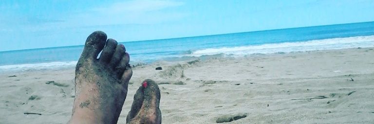 Carolaborda's profile banner image