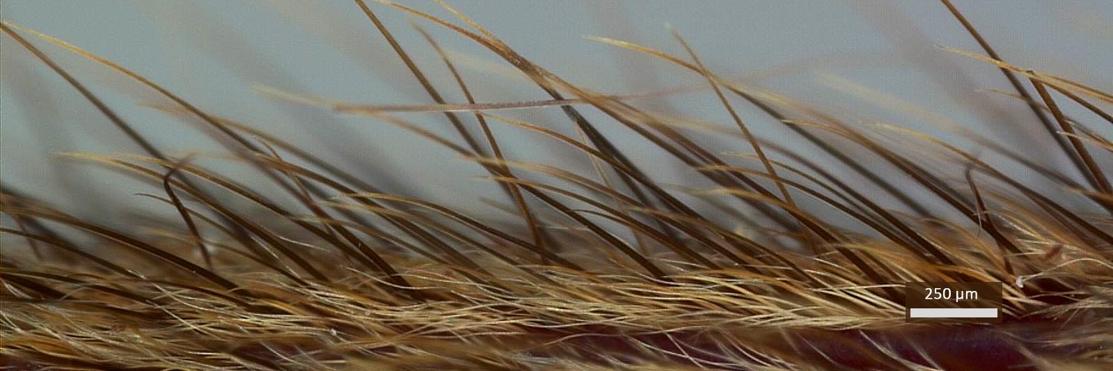 MaryamTadayon's profile banner image