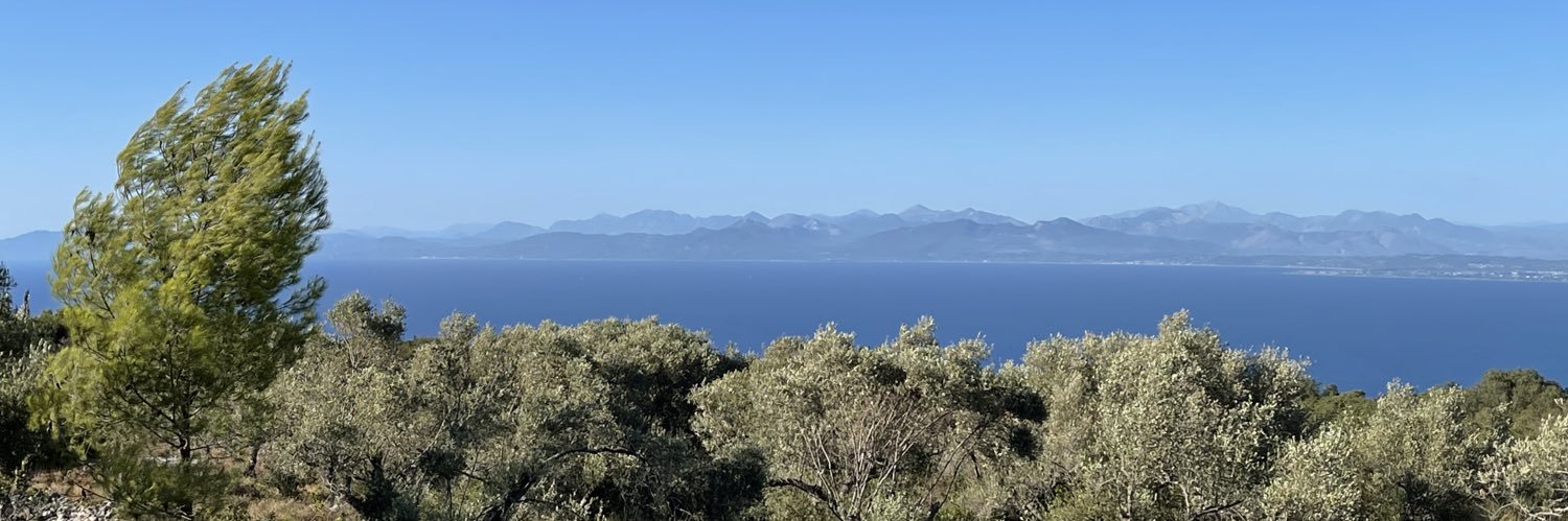 Tom's thoughts... banner