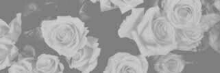 horanftcake_'s profile banner image