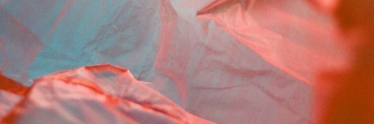 Palomaschmunk's profile banner image