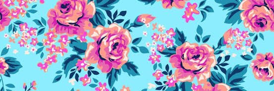 daianealvs's profile banner image