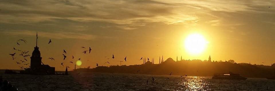 MDenizElber's profile banner image