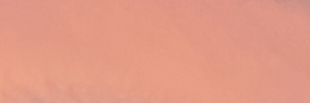 rated rawr banner